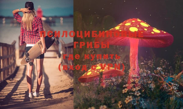 метадон Алексеевка