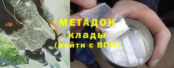 сатива Алзамай