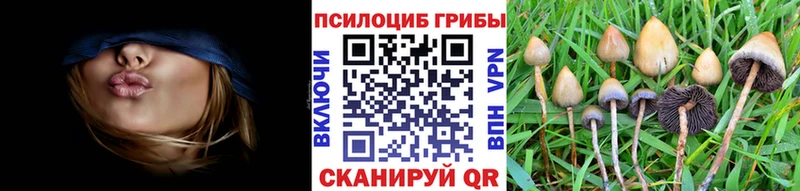 Псилоцибиновые грибы мухоморы  блэк спрут онион  Железногорск-Илимский 